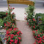Unsere Gaststätte (10)